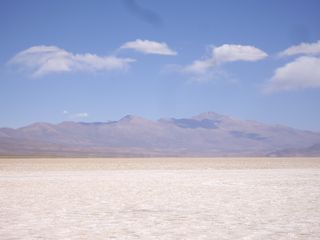 IMGP5567